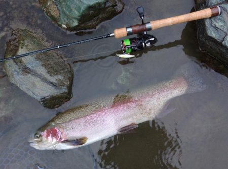 大物連発！ ～天竜川ルアーフライ専用区～
